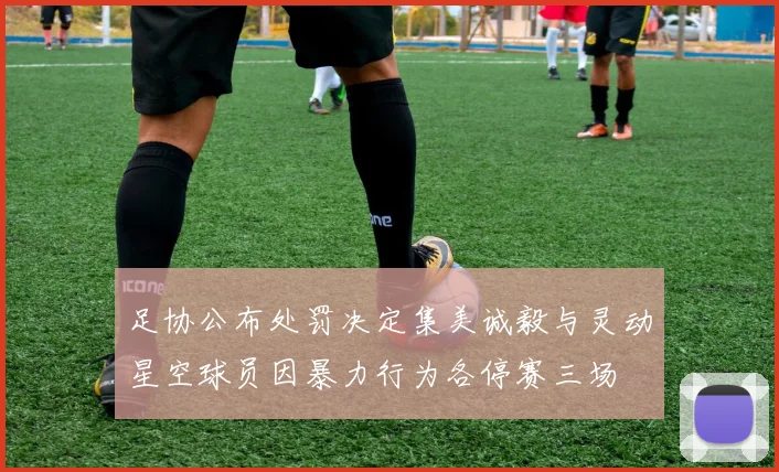 足协公布处罚决定集美诚毅与灵动星空球员因暴力行为各停赛三场